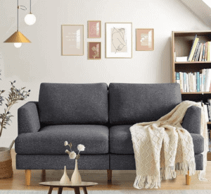 Loveseat Sofa