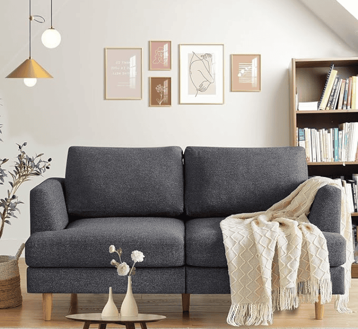 Loveseat Sofa